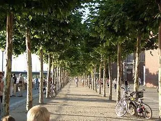 Otel Am Ehrenhof Düsseldorf