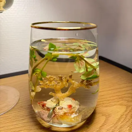 埃亨霍夫酒店